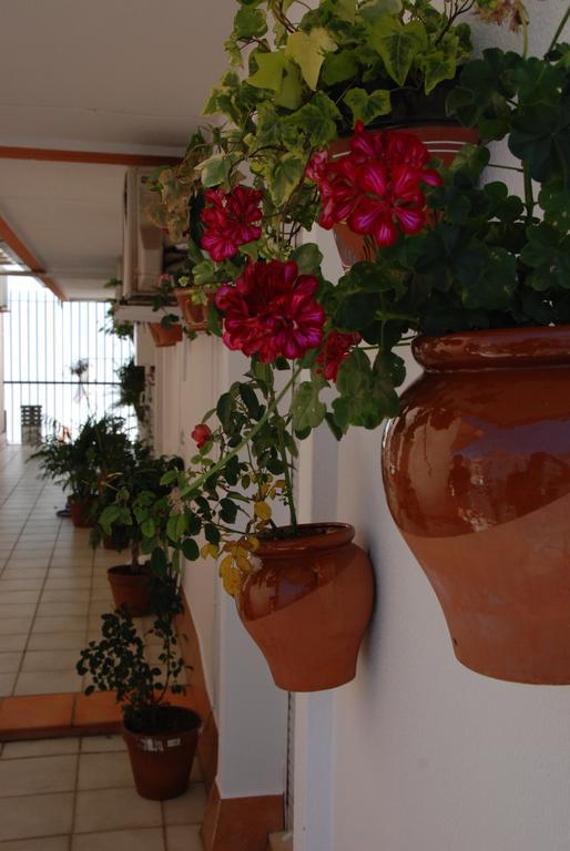 Hostal Puerto Лепе Экстерьер фото